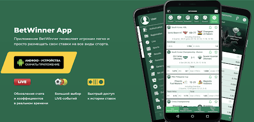 Betting with BetWinner Your Guide to Online Gambling
